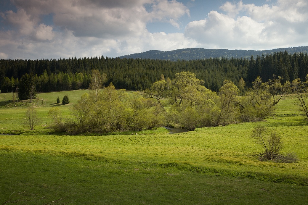 Zaorlicko – údolní ostřicové louky.