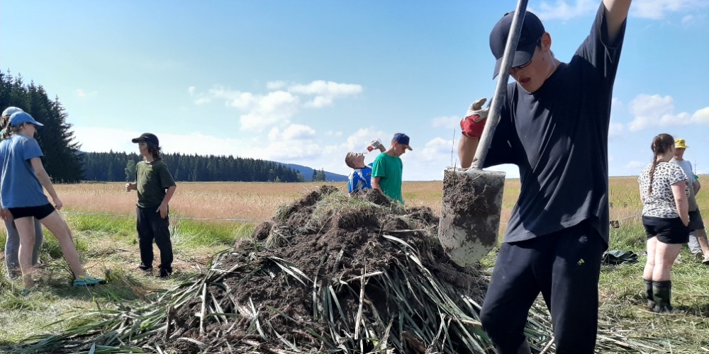 Tvorba zimoviště pro obojživelníky z vykopaného orobince. Foto: Monika Kašparová