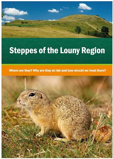 Steppes of the Louny Region