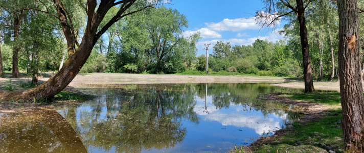 Fotografie tůně ve Velkém Borku.